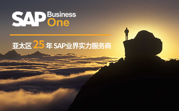 企業(yè)如何選擇SAP實(shí)施商？