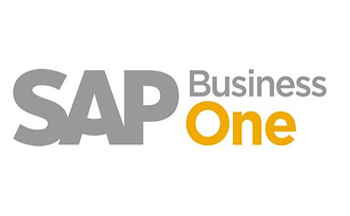 SAP服務體系排名